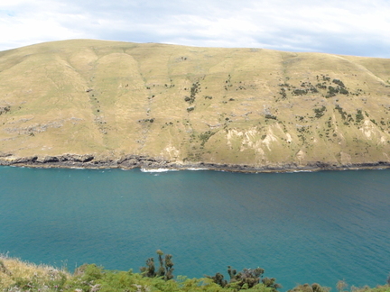 DSC00427